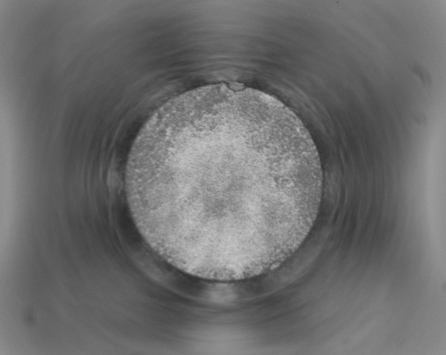 X0000112760091200910011225