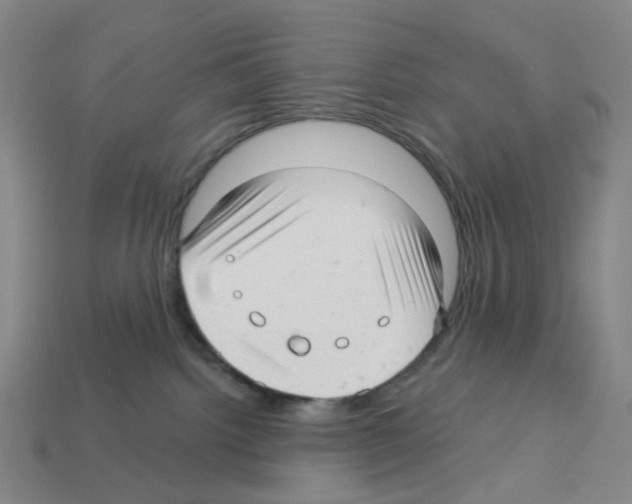 X0000112760092200910011225