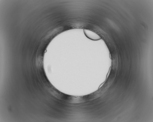 X0000112760093200910011225