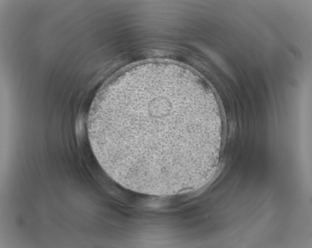 X0000112760094200910011225