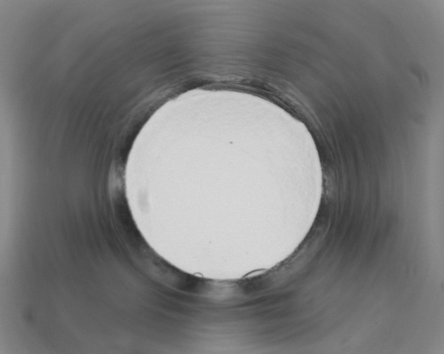 X0000112760095200910011225