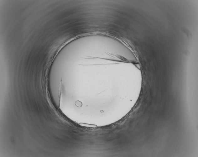 X0000112760097200910011224