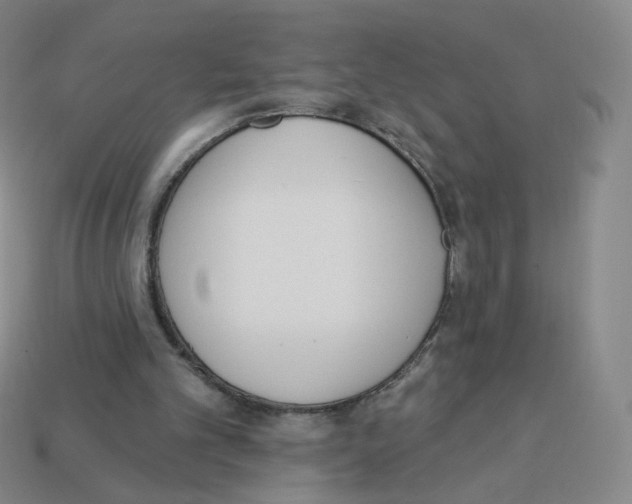 X0000112760101200910011224