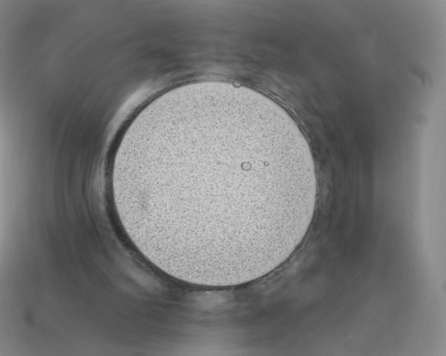 X0000112760102200910011224