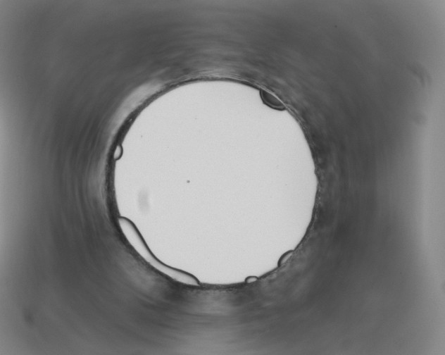 X0000112760104200910011224