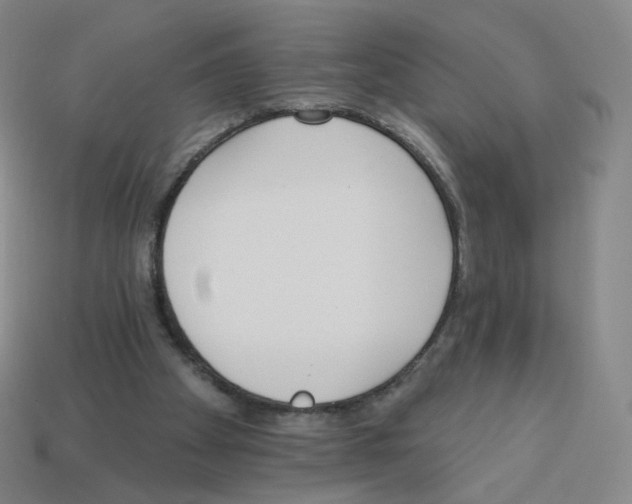 X0000112760105200910011224