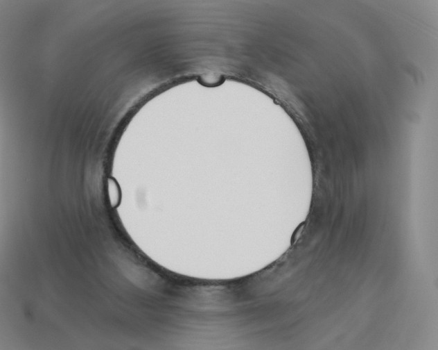 X0000112760108200910011224