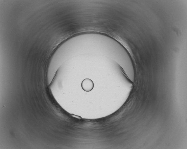 X0000112760109200910011224