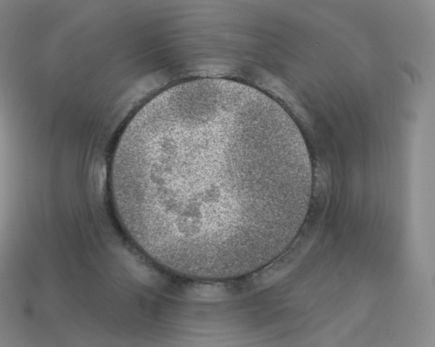 X0000112760110200910011224