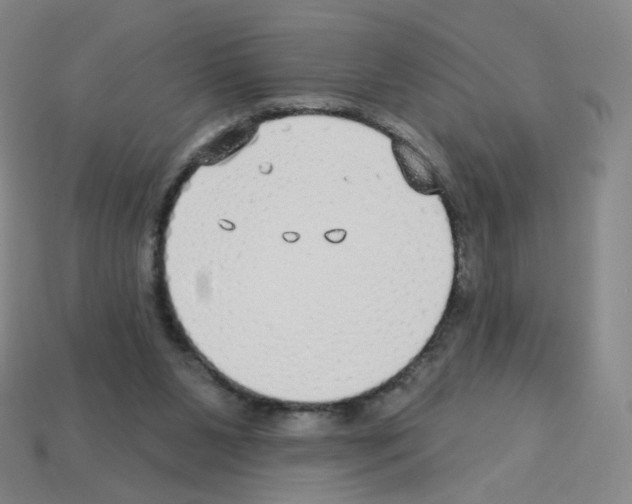 X0000112760111200910011224