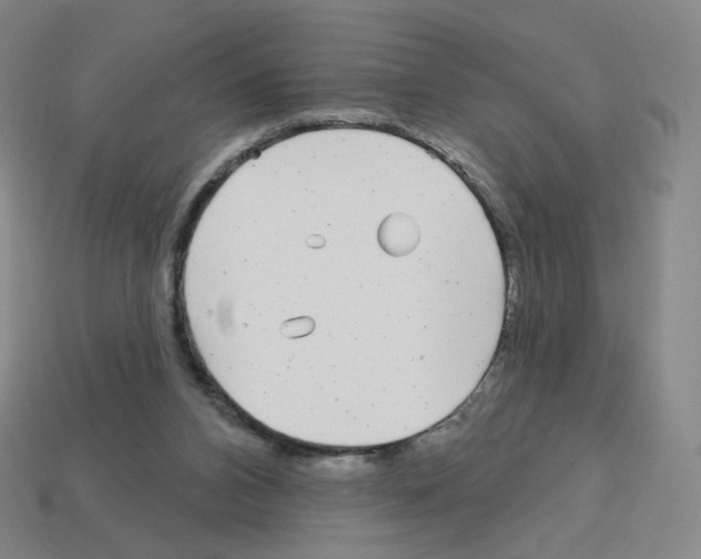 X0000112760112200910011224