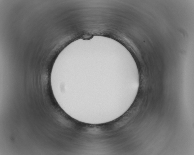 X0000112760113200910011224
