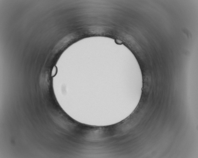 X0000112760116200910011224