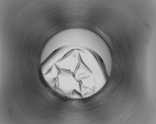 X0000112760117200910011224