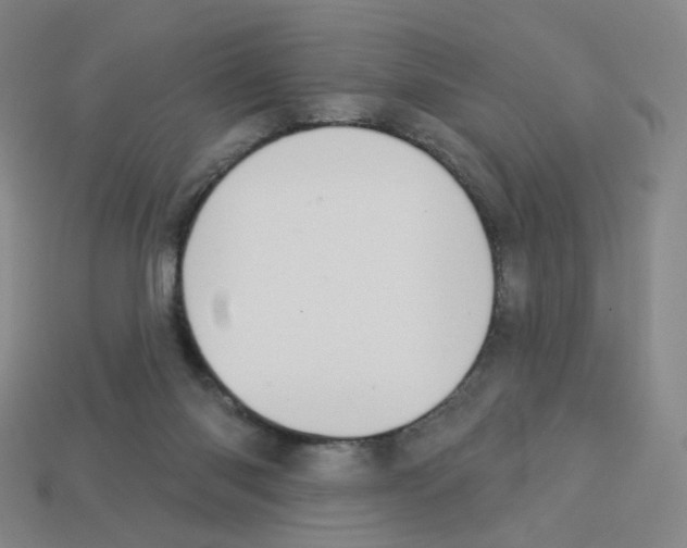 X0000112760118200910011224