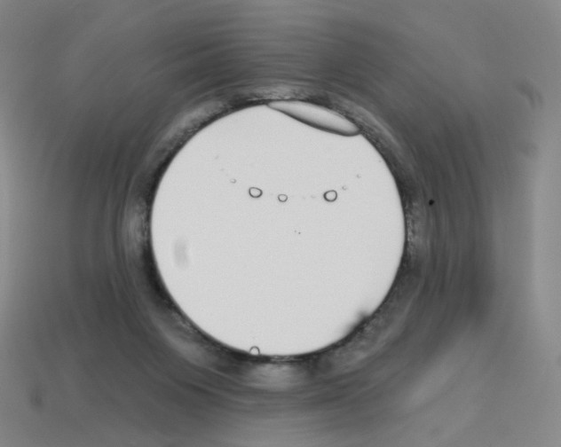 X0000112760119200910011224