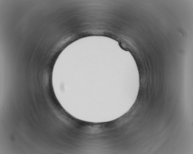 X0000112760120200910011224