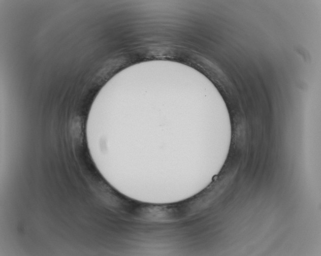 X0000112760121200910011224