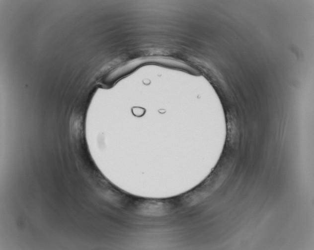 X0000112760123200910011224