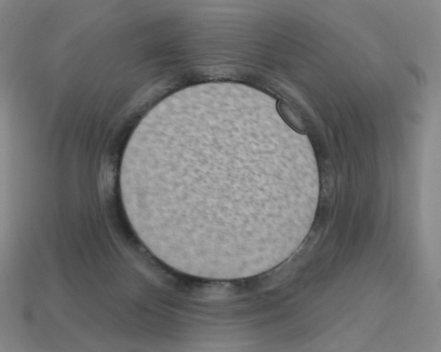 X0000112760124200910011224