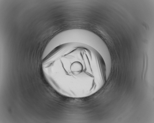 X0000112760125200910011224