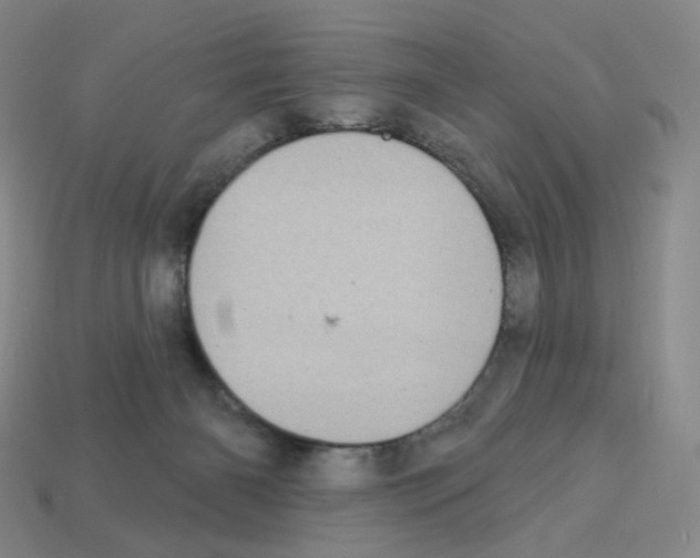 X0000112760126200910011224