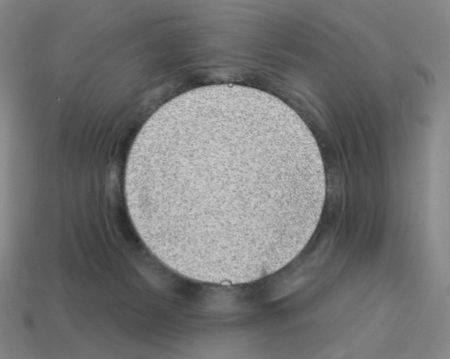 X0000112760127200910011224