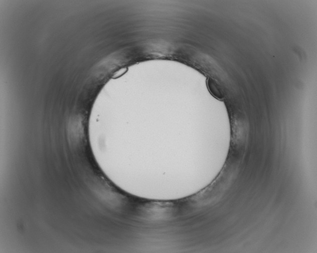 X0000112760128200910011224