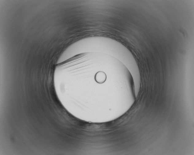 X0000112760129200910011224