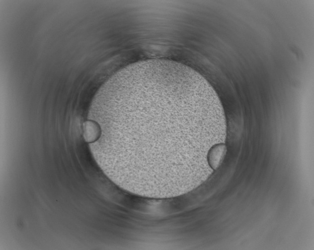 X0000112760130200910011224