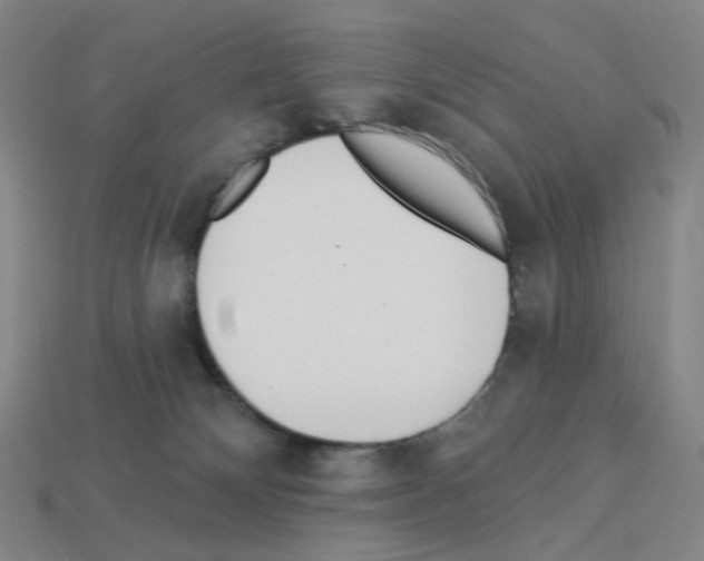 X0000112760132200910011224