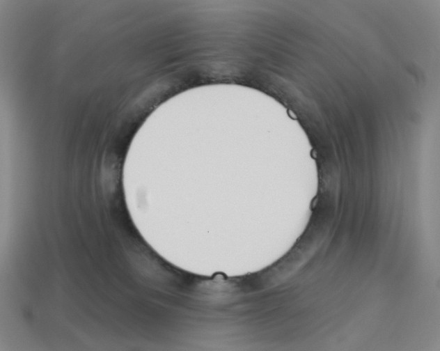 X0000112760133200910011224
