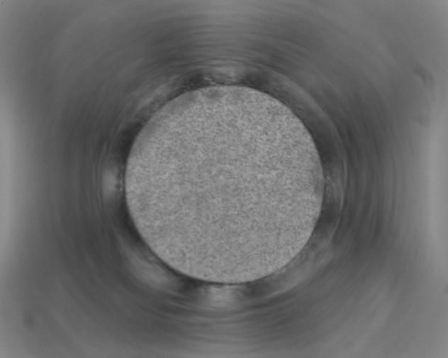 X0000112760134200910011223