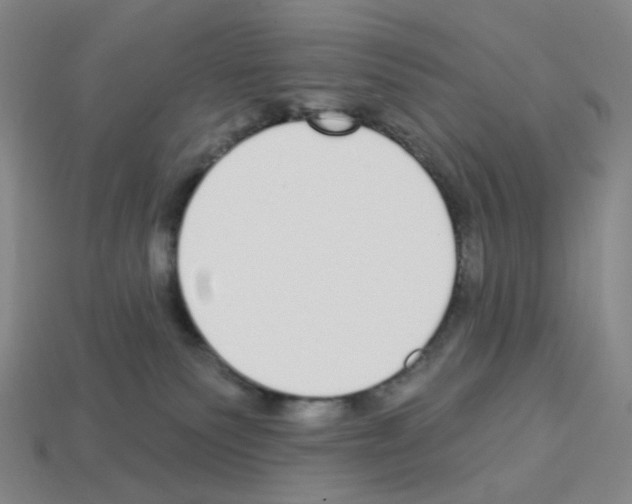 X0000112760135200910011223