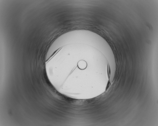 X0000112760136200910011223