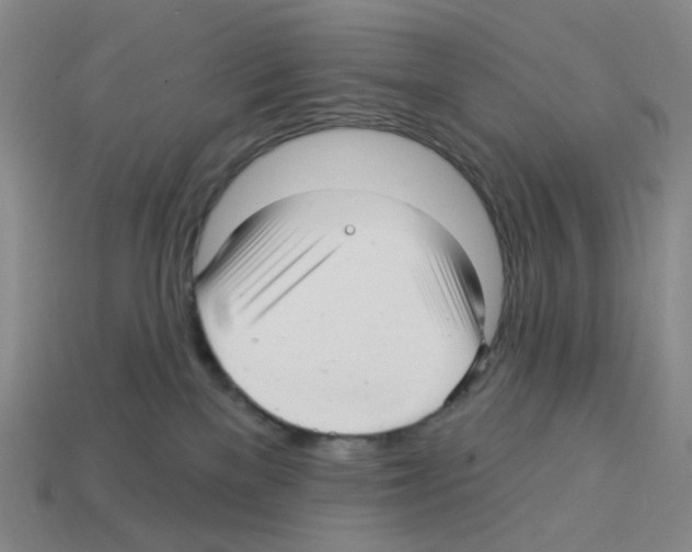 X0000112760137200910011223