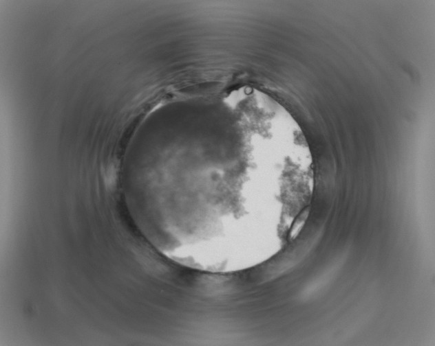 X0000112760139200910011223