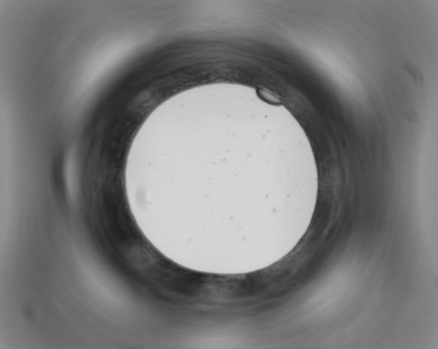 X0000112760140200910011223