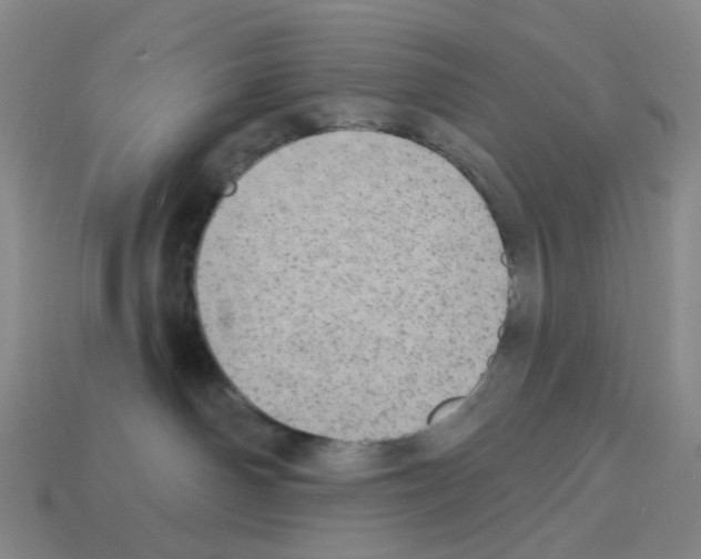 X0000112760142200910011223