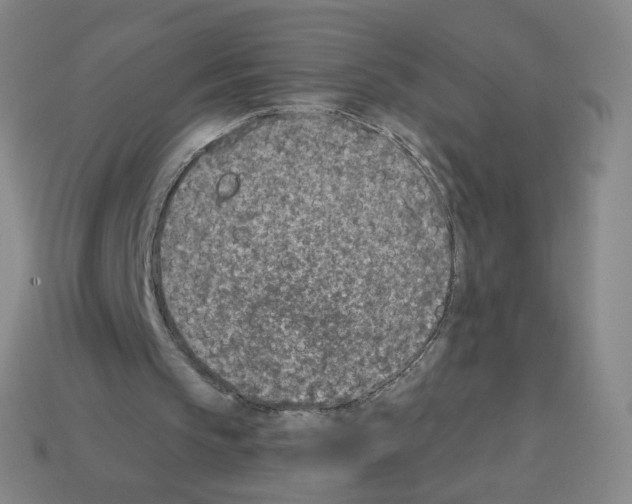 X0000112760145200910011223
