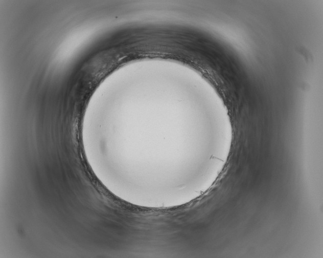 X0000112760146200910011223