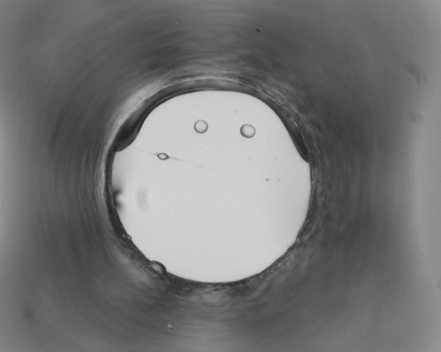 X0000112760148200910011223