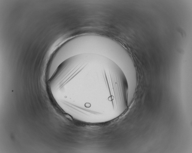 X0000112760150200910011223