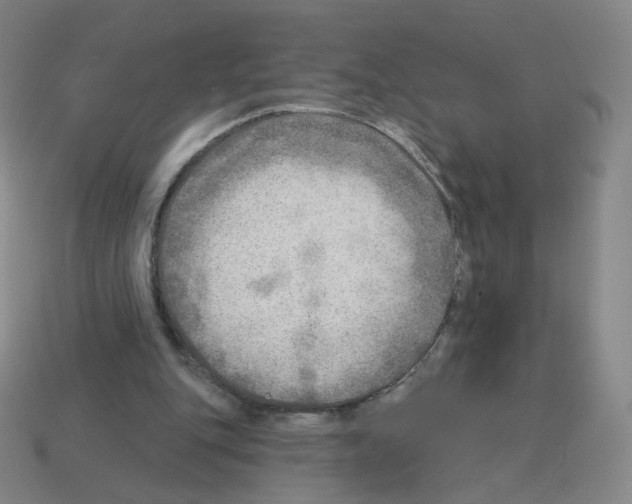 X0000112760151200910011223