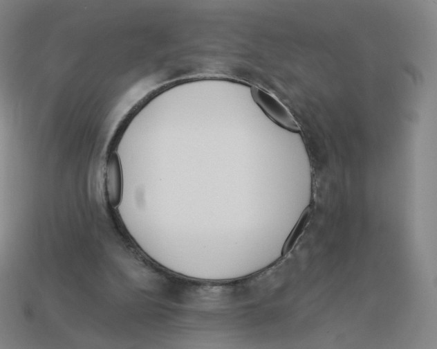 X0000112760152200910011223