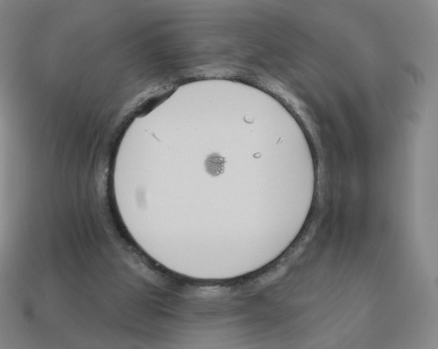 X0000112760153200910011223