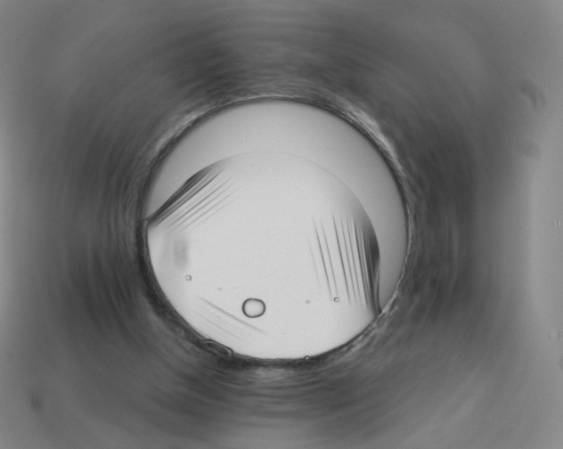 X0000112760154200910011223