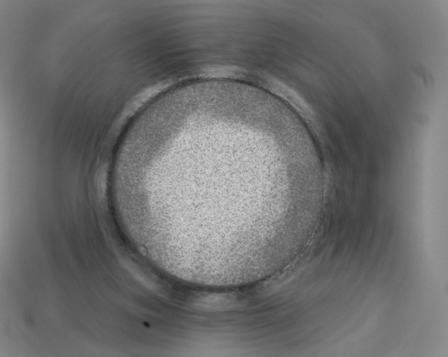 X0000112760155200910011223