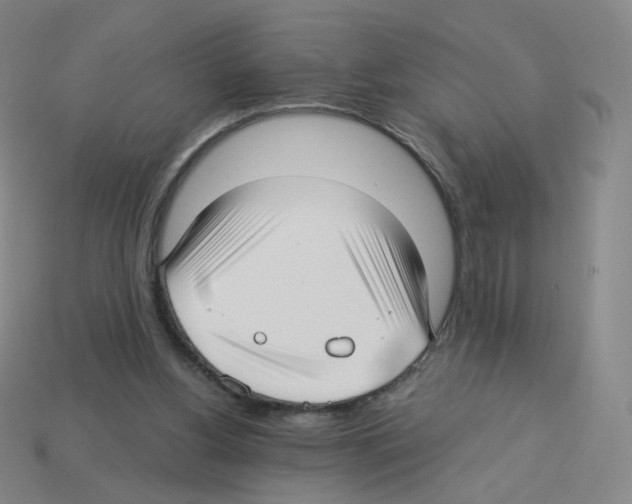 X0000112760156200910011223