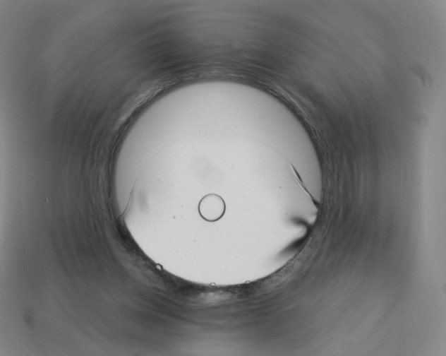 X0000112760158200910011223